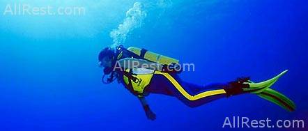 Panglao Island Nature Resort 14